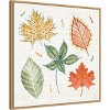 Amanti Art 30"x30" Harvest Whimsy V by Dina June Framed Canvas Wall Art Print - 2 of 4