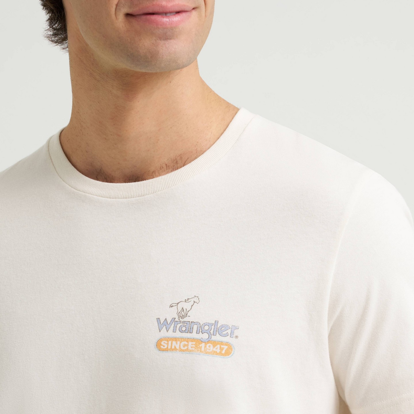 Мужская футболка Wrangler Cowboy Cut Graphic T-Shirt - White, цвет: Белый — фото 5