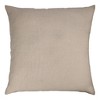 HomeRoots 24" Brown and Beige Geometric Silk Throw Pillow With Embroidery - 4 of 4
