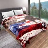 8 Lb Throw Blanket - Oversized Woven Plush Sofa or Soft Comfort Bed Decor with Printed Wildlife Design by Hastings Home (Bald Eagle) - 2 of 4