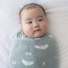 HALO Innovations Sleepsack Swaddle Micro-Fleece - Harry Potter Hedwig - 2 of 4