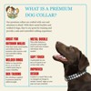 Country Brook Petz Premium Dog Collar - Christmas Collection - 2 of 4