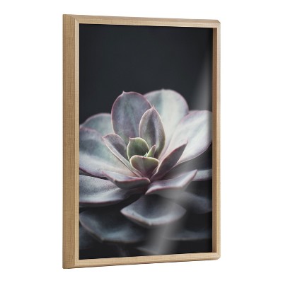 Kate and Laurel Blake Lavender Succulent Framed Printed Glass by Emiko and Mark Franzen of F2Images, 18x24, Natural