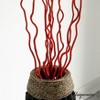 Uniquewise Natural Decorative Dry Branches Authentic Willow Sticks for Home Decoration and Wedding Craft - 4 of 4