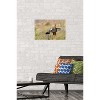 Trends International The Comedy Wildlife Photography Awards: Wendy Kaveney - That Wasn't Here Yesterday Unframed Wall Poster Prints - 2 of 4