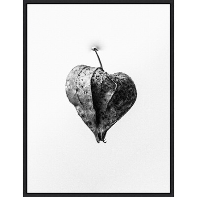 Amid the Flowers Black and White Botanical Canvas Print 18 x 24