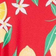 Red Lemon Print