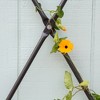 Achla Designs 43" Traditional Wall Mounted Lattice Iron Garden Trellis Graphite Powder Coat Finish: Corrosion-Resistant, Includes Hanging Hardware - 4 of 4