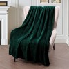 Aoibox Extra Large Fleece Throw Blanket for Couch, Sofa, Super Soft and Warm, Forest Green, All Season Use, Cozy, Plush, Lightweight - 4 of 4