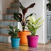 Bloem Saturn Round Resin Planter Pot Indoor and Outdoor Gardening - 2 of 4