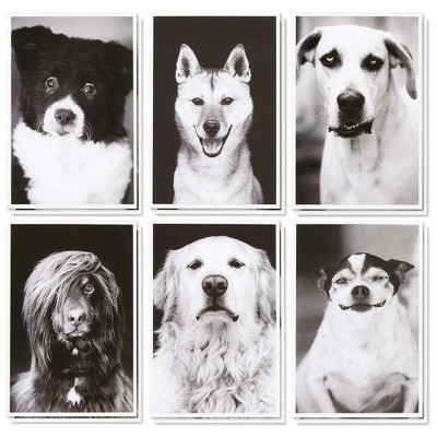 36 Pack Blank Note Cards -  All Occasion Real Photograph Rescue Dogs w/Envelopes