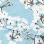 Cherry Blossoms