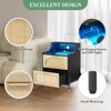 Rattan Nightstand, Modern Bedside Table with Led Lights and 2 Drawers, Black Nightstand with Charging Station, Wooden Bedside Table - 4 of 4