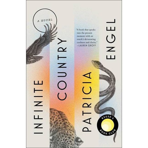 infinite country book review