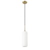 Monty Collection Glass Pendant Light - Mid-Century Modern, Dimmable, 100W, 22" Height - 3 of 4