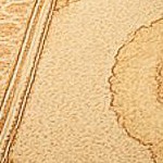 beige cream