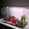 Unique Bargains Aquarium Plastic Plants for Fish Tank Landscape Decoration 3.94" 2 Pcs - 2 of 4