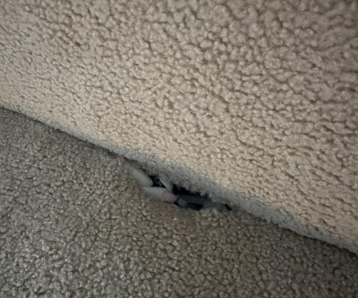 Guest review image 1 of 2, zoom in