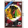 Trends International NHL Chicago Blackhawks - Maximalist Logo 23 Framed Wall Poster Prints - 3 of 4