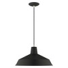 Livex Lighting Metal Shade 1 - Light Chandelier in  Black - 3 of 4