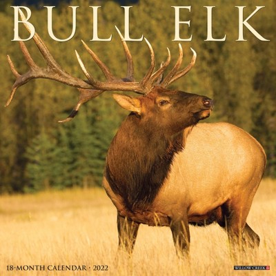 2022 Wall Calendar Bull Elk - Willow Creek Press