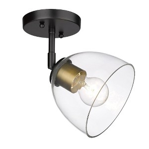Golden Lighting Roxie Semi-Flush - 1 of 1