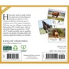 Willow Creek Press 2026 What Horses Teach Us Box Calendar - 2 of 4