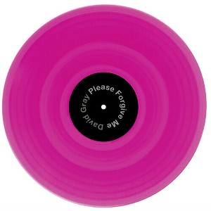 David Gray - Please Forgive Me 2020 () (vinyl 12 inch single) - 1 of 1