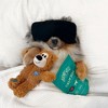 Hemp Well Calm Dog Soft Chews to Calm and Relax Your Dog - 2 of 4