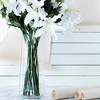 Slickblue 18" Glass Zen Vase - Clear - 2 of 4