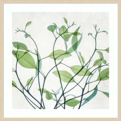 Amanti Art Rendezvous I by Dianne Poinski Wood Framed Wall Art Print