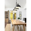 Z-Lite Melange 3 - Light Pendant in  Matte Black - 4 of 4