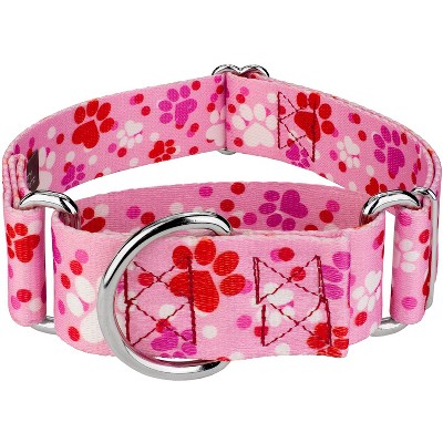 thumbnail image 2 of Country Brook Petz Heavy Duty Nylon Martingale Dog Collar With Deluxe Buckle - 30+ Vibrant Color Options (1 Inch, Medium, Fuchsia 2 of 14