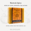 Pumpkin Spice Bar Soap 2-Pack | Cozy Aromatherapy Cleanser with Warm, Spiced Scent | Natural Daily Body Care | Plantlife - 3 of 4