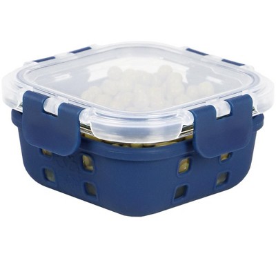 Michael Graves Design Square 13 Ounce High Borosilicate Glass Food Storage Container with Plastic Lid, Indigo