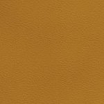 tennessee volunteers