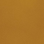 tennessee volunteers