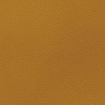 tennessee volunteers