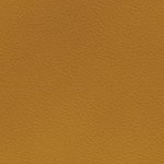 tennessee volunteers