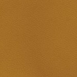 tennessee volunteers