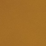 tennessee volunteers