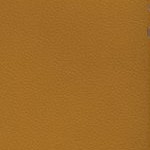 tennessee volunteers