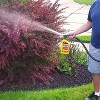 Dr. Earth Final Stop Yard & Garden Insect Killer Concentrate, Ready-to-Spray - 32 fl oz - 4 of 4