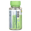 Solaray True Herbs, Horsetail, 100 VegCaps (440 mg per Capsule) - 3 of 4