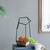NAYSAYE Planter Felix Wall Planter Set of 3 Geometric Design for Indoor Outdoor Garden, Black and Brown, 11.4"*10.6"*18.9" - 3 of 4