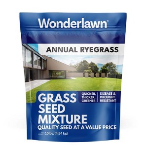 Barenbrug Annual Ryegrass Partial Shade/Sun Grass Seed 10 lb - 1 of 1