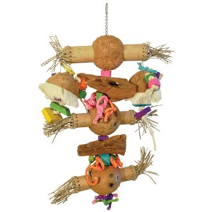 Prevue Pet Products Physical & Mental Bodacious Bites Bamboo Shoots Bird Toy 62474 - 1 of 3