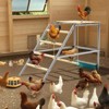 Chicken Perch for Coop, Chicken Roosting Bars with Swing and Ladder Design for Backyard Farm, Roosting Bars for Chickens in Coop, Easy Installation - 2 of 4