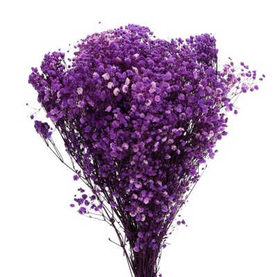 Unique Bargains Natural Dried Baby's Breath Flowers Branches for Wedding Party Decoration Purple 2 Pcs