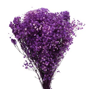 Unique Bargains Natural Dried Baby's Breath Flowers Branches for Wedding Party Decoration Purple 2 Pcs - 1 of 4